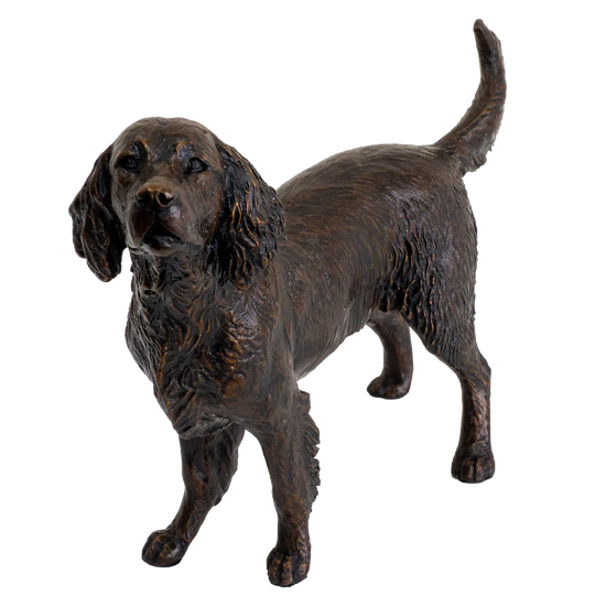 Richard Cooper Limited Edition Bronze Medium Springer Spaniel Figurine