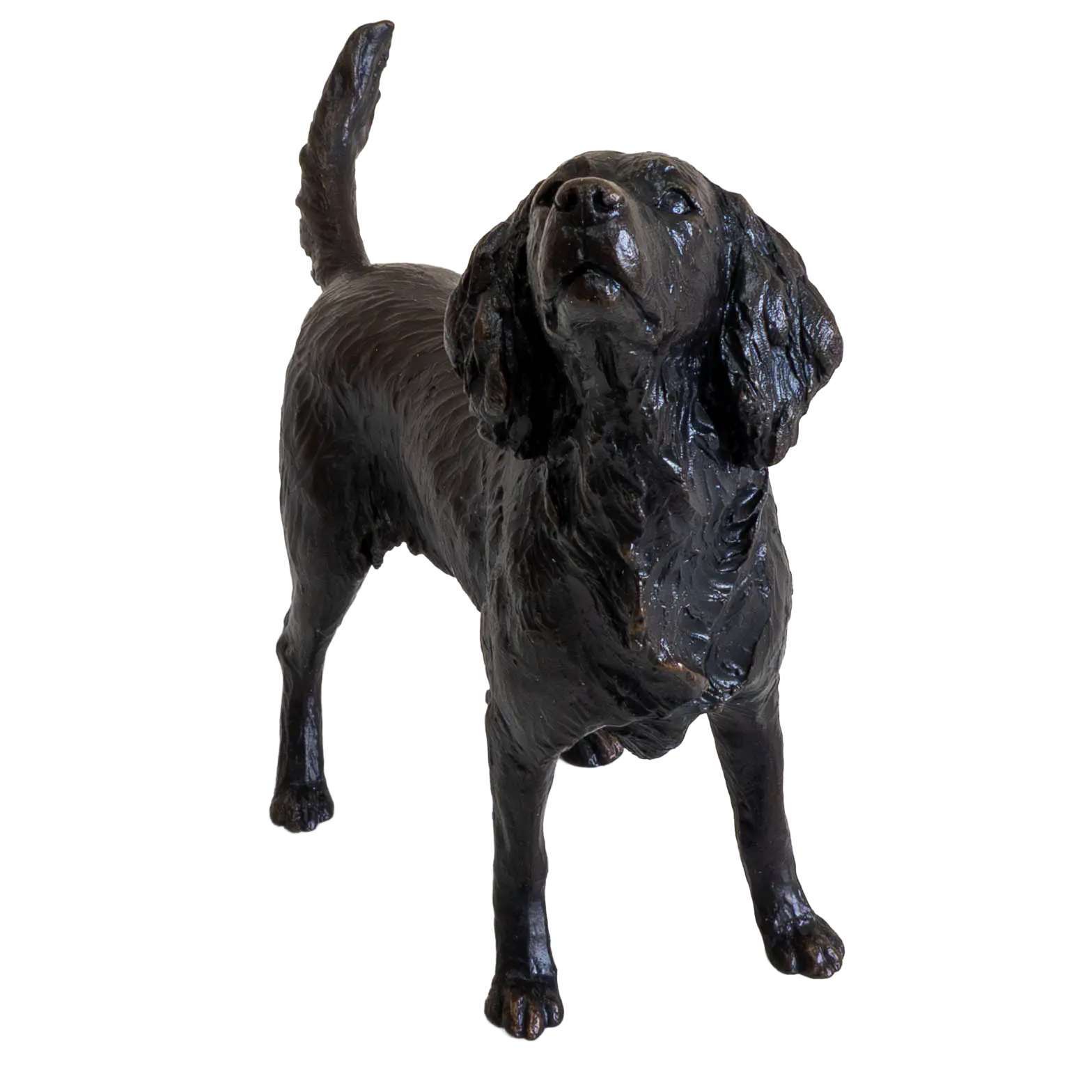 Richard Cooper Bronze Medium Springer Spaniel Figurine Dog Sculpture