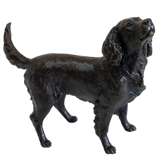 Richard Cooper Bronze Medium Springer Spaniel Figurine Dog Sculpture