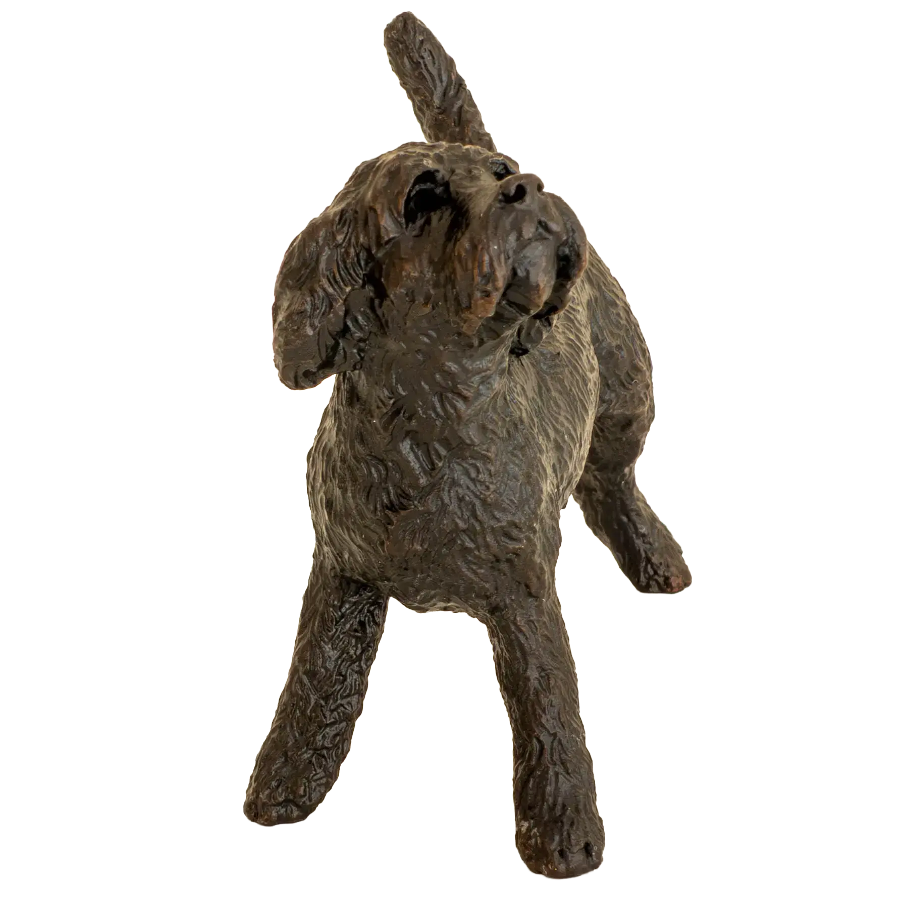 Richard Cooper Bronze Dogs Collection Cockapoo Standing