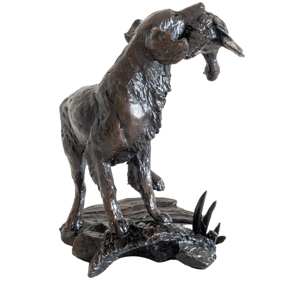 Richard Cooper Limited Edition Bronze Springer Spaniel Retrieving Figurine