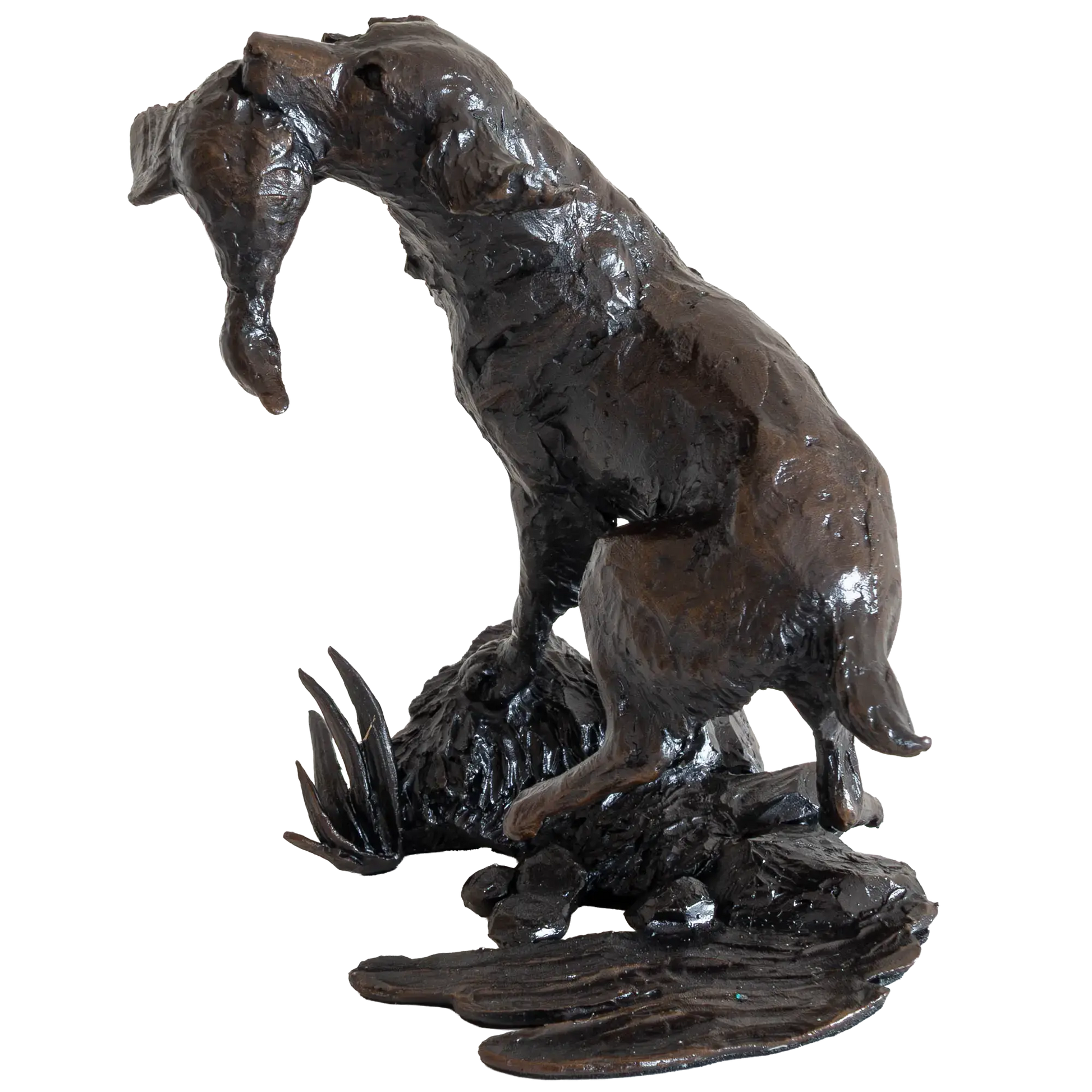 Richard Cooper Limited Edition Bronze Springer Spaniel Retrieving Figurine