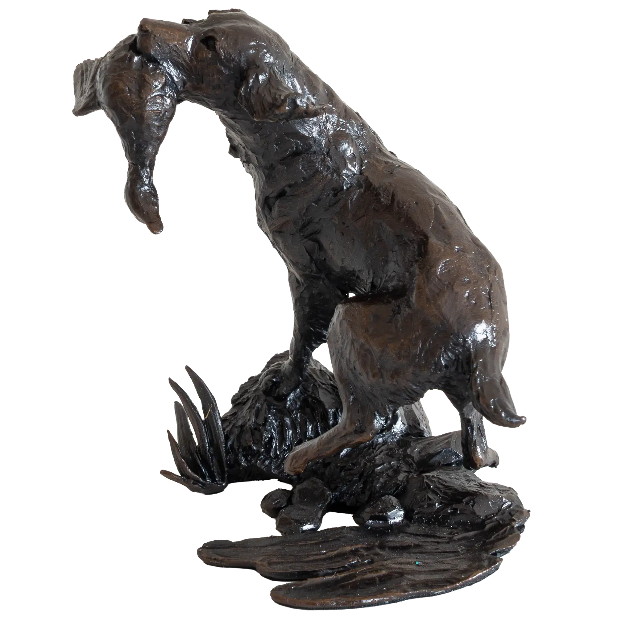 Richard Cooper Limited Edition Bronze Springer Spaniel Retrieving Figurine
