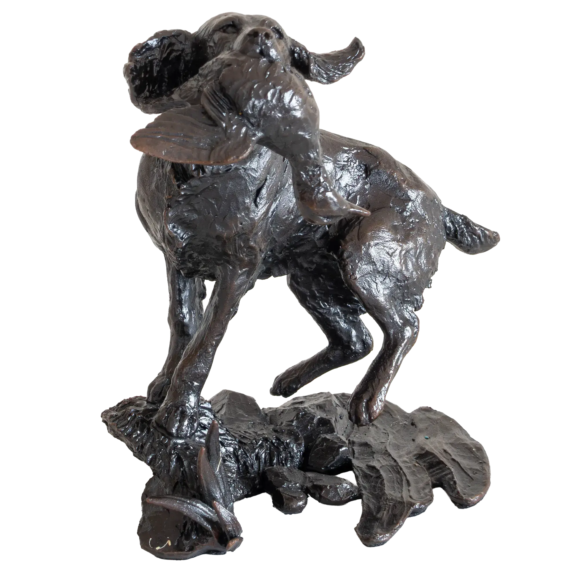 Richard Cooper Limited Edition Bronze Springer Spaniel Retrieving Figurine
