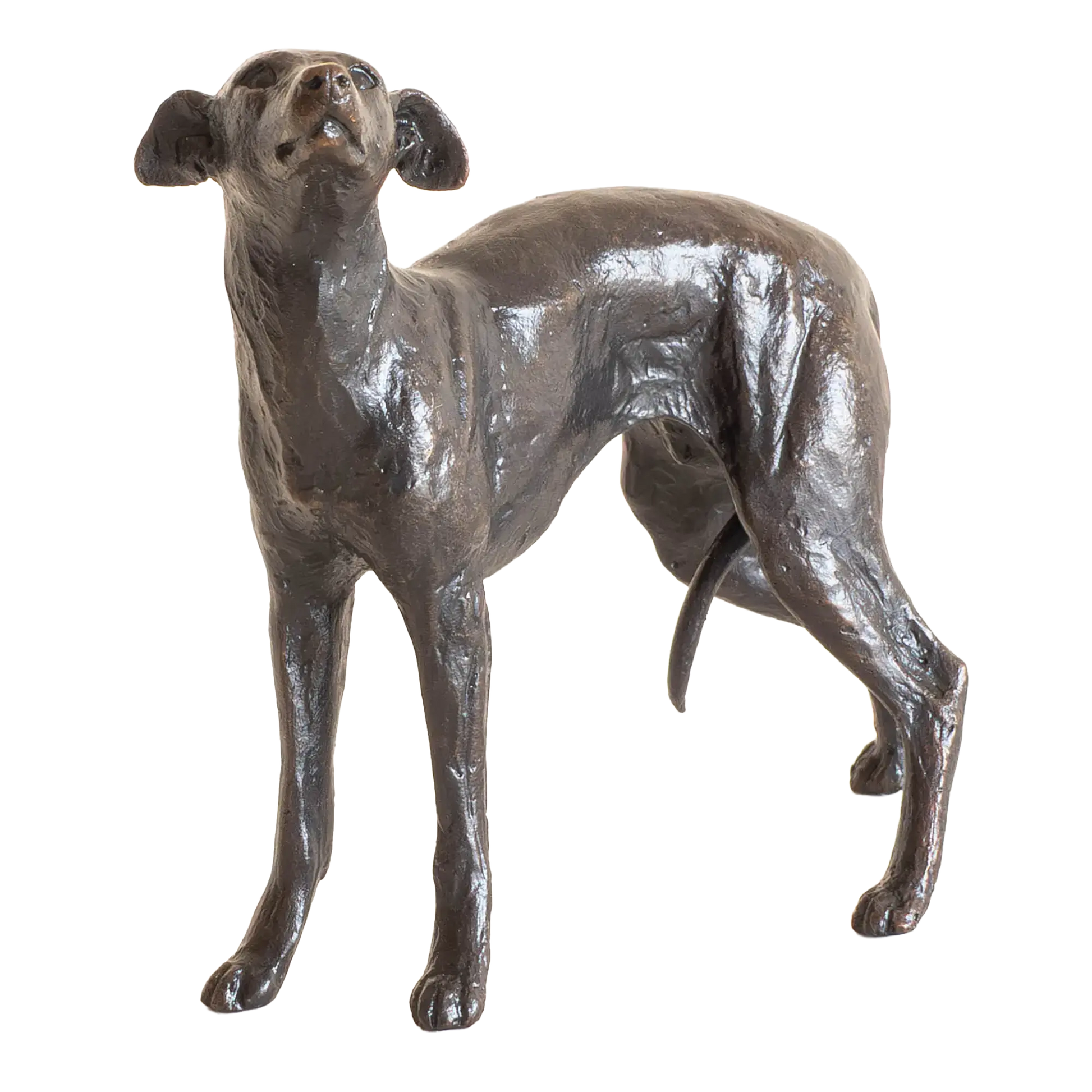 Richard Cooper Limited Edition Bronze Whippet Standing Figurine