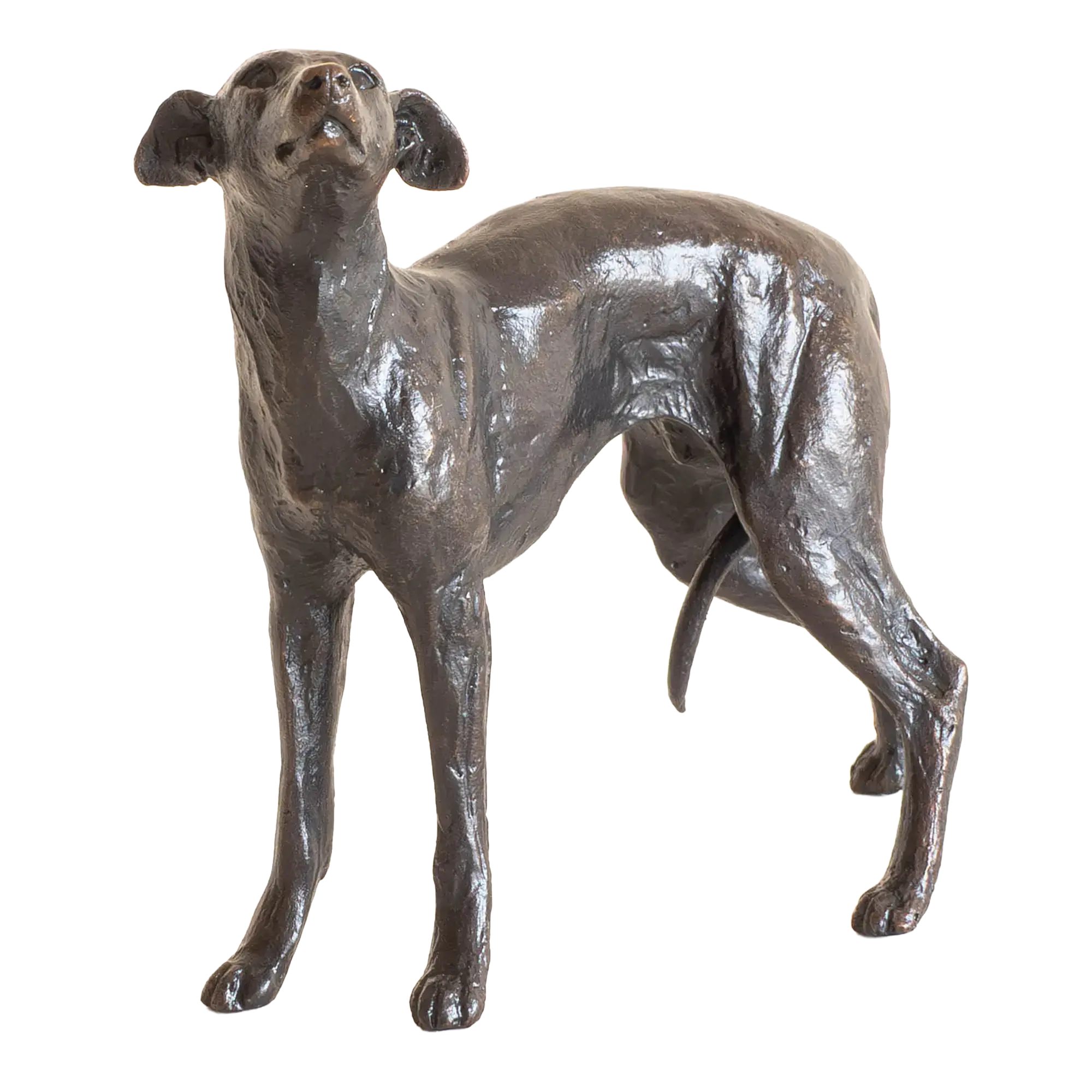 Richard Cooper Limited Edition Bronze Whippet Standing Figurine