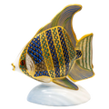 Royal Crown Derby Tropical Collection Angel Fish Paperweight Charterwells