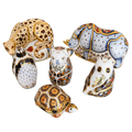 Royal Crown Derby Endangered Species Collection Set of 6