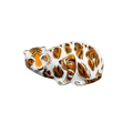 Royal Crown Derby New Year Tiger Paperweight - Charterwells
