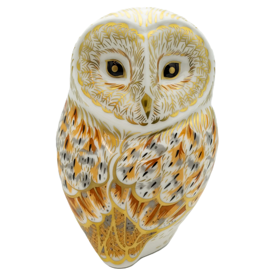 Royal Crown Derby Winter Owl Paperweight Charterwells
