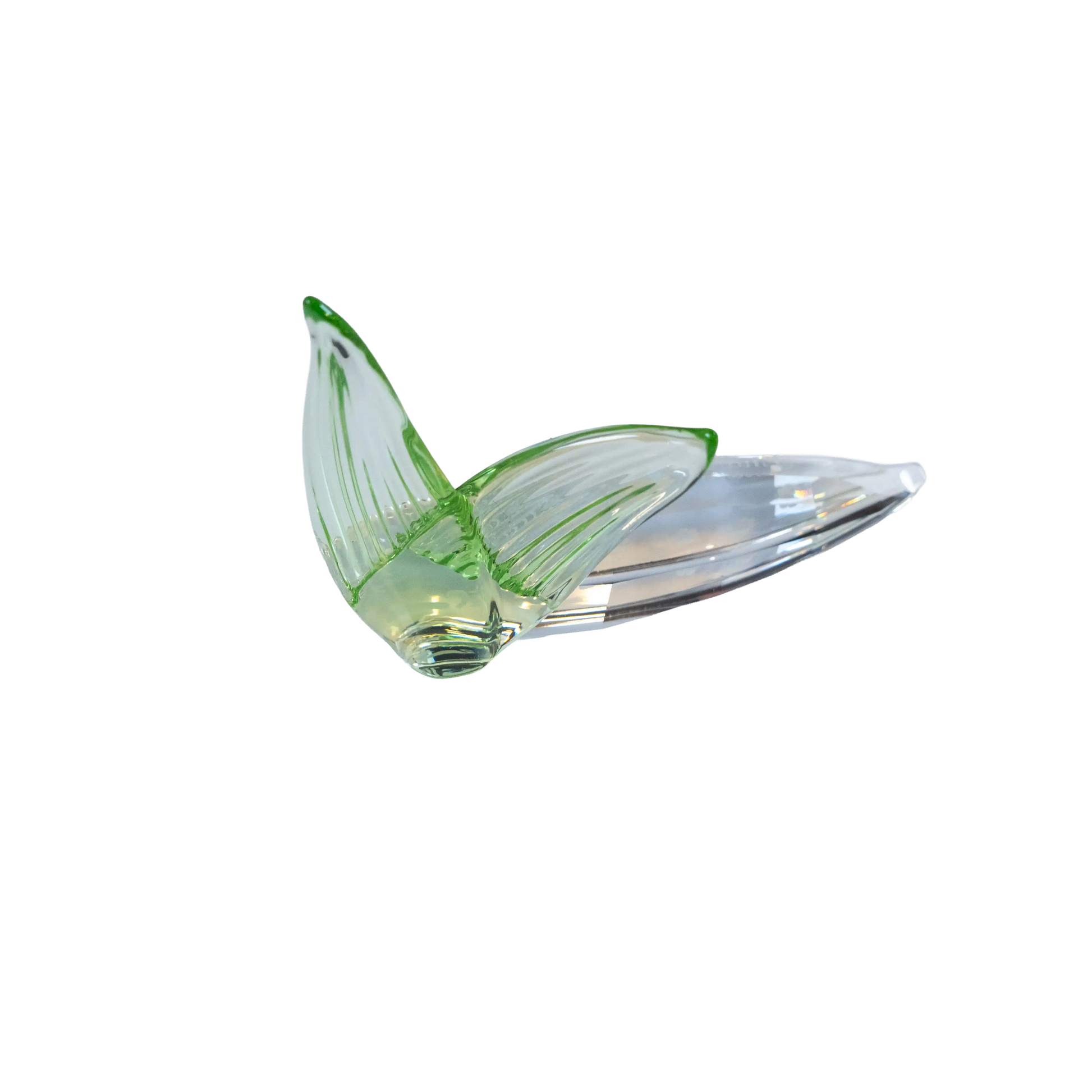 Swarovski Crystal Endangered Wildlife Leaf Plaque Charterwells