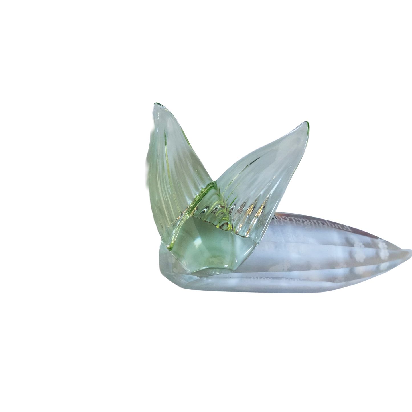 Swarovski Crystal Endangered Wildlife Leaf Plaque Charterwells