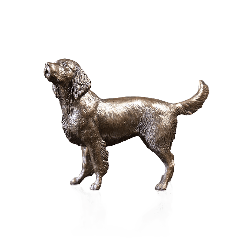 Richard Cooper Limited Edition Bronze Medium Springer Spaniel Figurine