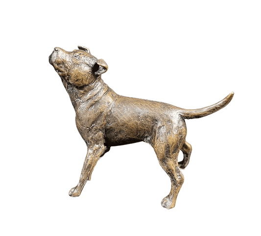 Richard Cooper Limited Edition Bronze Staffordshire Bull Terrier Figurine