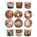 Royal Crown Derby The Curators Collection Cups & Saucers : Set of 6 Charterwells